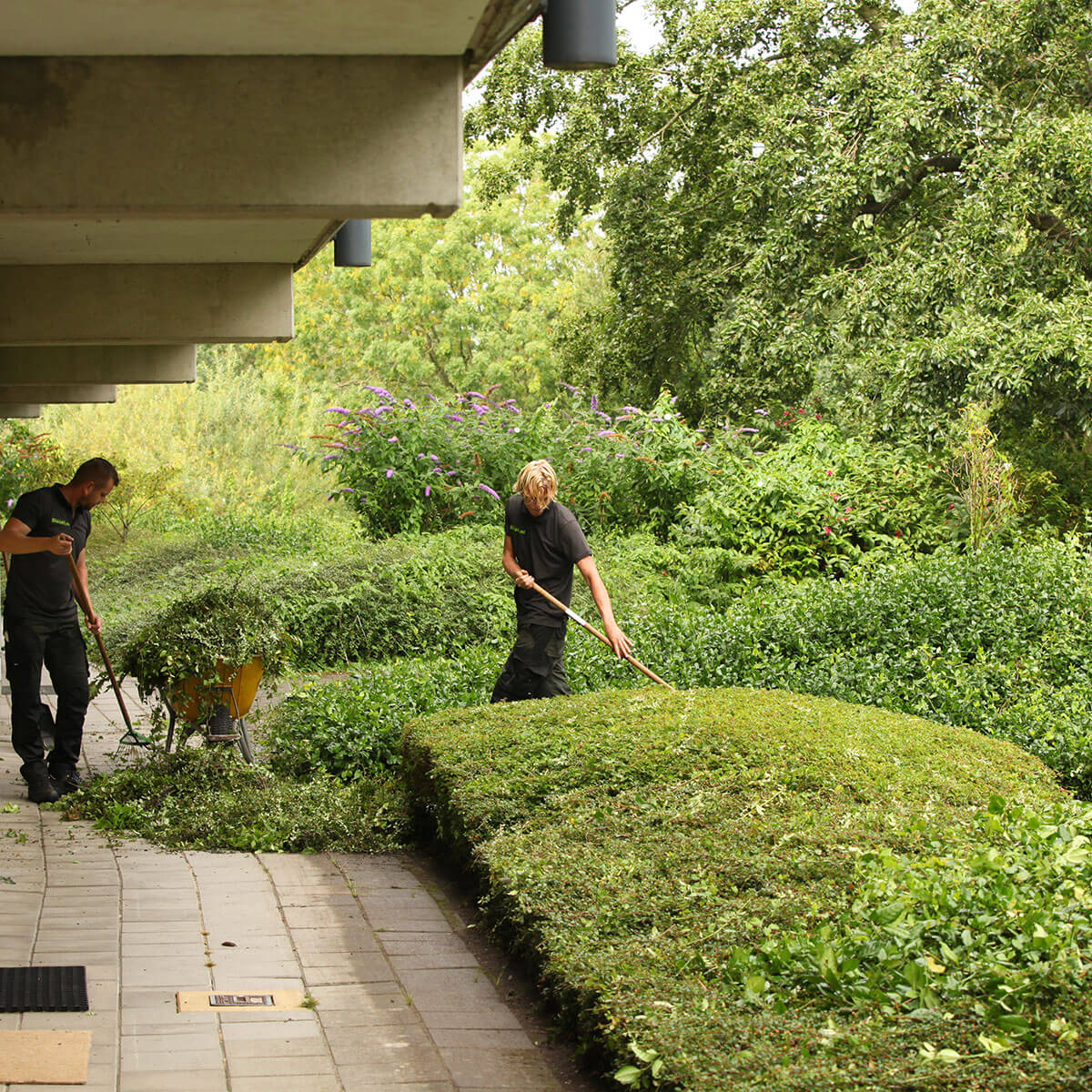 Biesot-tuinontwerp-tuinaanleg-vijfhuizen-hoofddorp-haarlem-harken-groenvoorziening